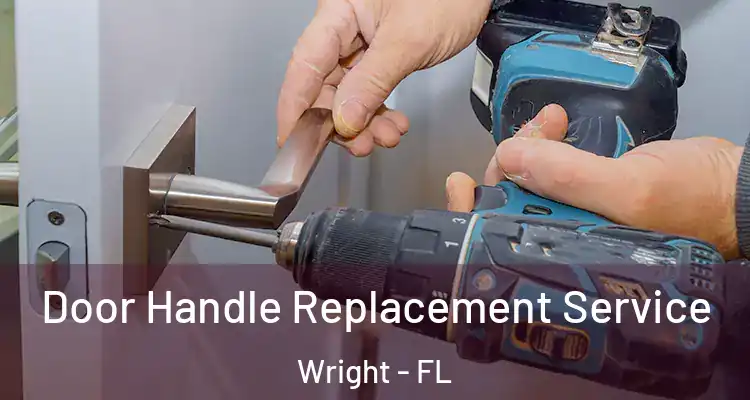  Door Handle Replacement Service Wright - FL