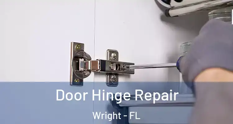  Door Hinge Repair Wright - FL