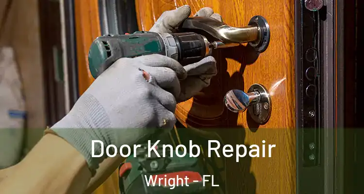  Door Knob Repair Wright - FL