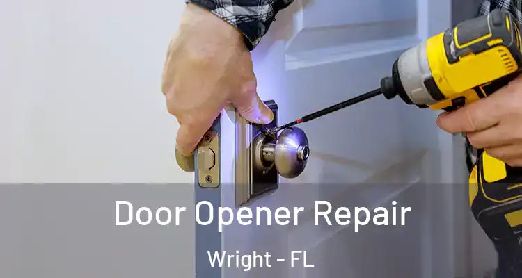  Door Opener Repair Wright - FL