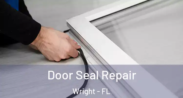  Door Seal Repair Wright - FL