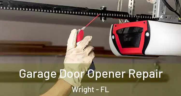  Garage Door Opener Repair Wright - FL