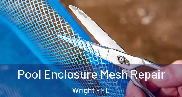  Pool Enclosure Mesh Repair Wright - FL