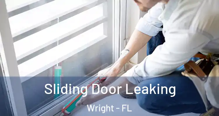  Sliding Door Leaking Wright - FL