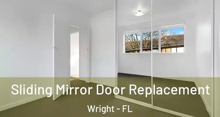  Sliding Mirror Door Replacement Wright - FL
